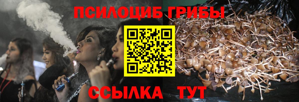 Псилоцибиновые грибы Magic Shrooms  Вход с VPN  Острогожск  Галлюциногенные грибы Magic Shrooms 