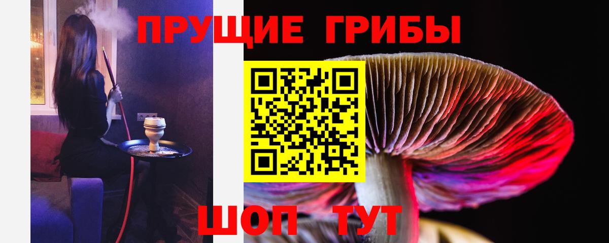 Псилоцибиновые грибы мицелий Острогожск